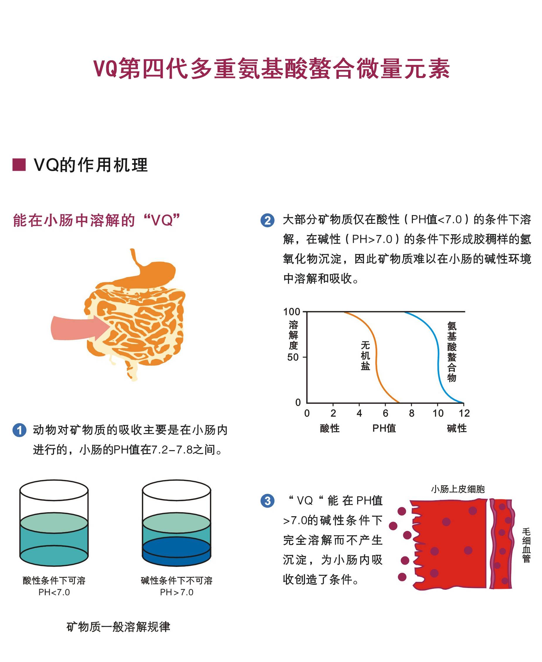 vq氨基酸螯合微量元素